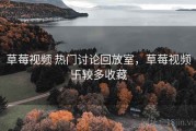 草莓视频 热门讨论回放室，草莓视频卐较多收藏