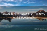 蘑菇视频 专栏 · 高清图文一点看完，支持手机电脑访问