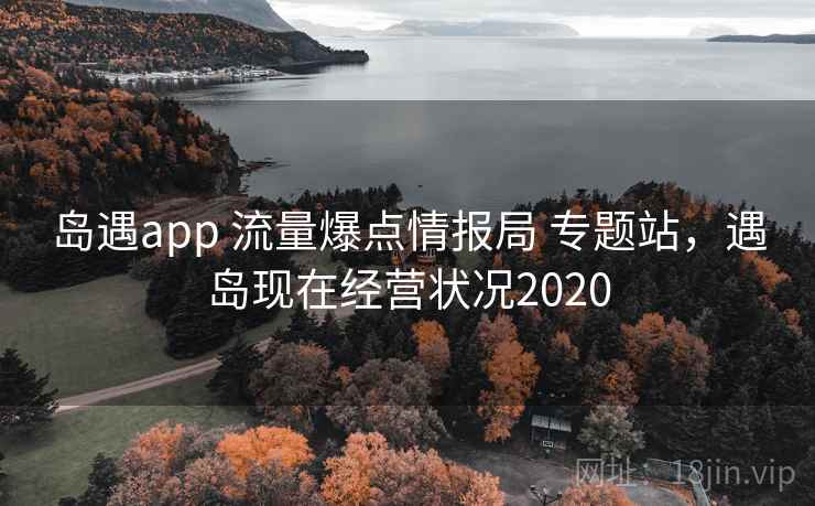 岛遇app 流量爆点情报局 专题站，遇岛现在经营状况2020