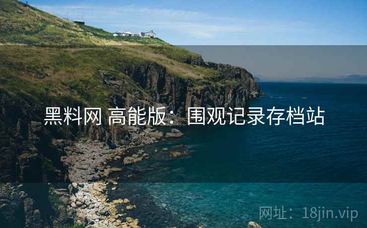 黑料网 高能版：围观记录存档站
