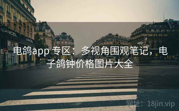 电鸽app 专区：多视角围观笔记，电子鸽钟价格图片大全