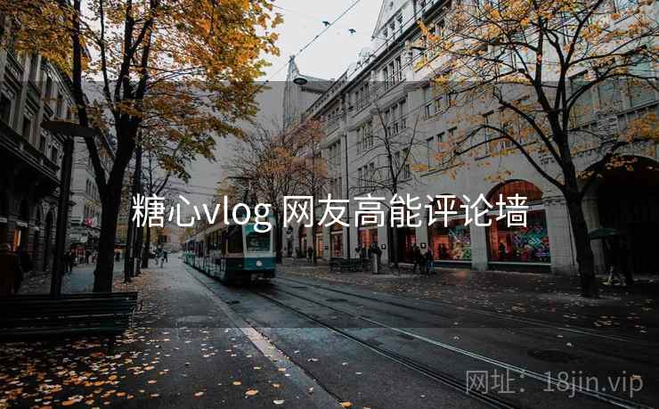 糖心vlog 网友高能评论墙