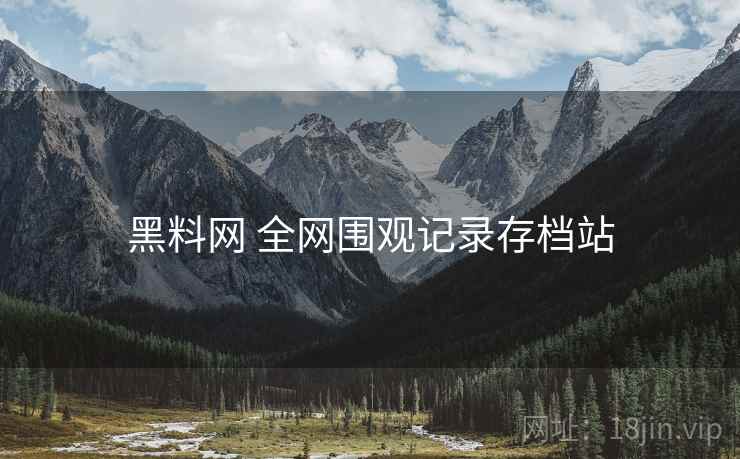 黑料网 全网围观记录存档站